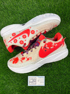 LeBron 20 PRM “Ceremony”