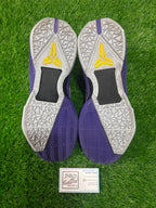 Size 9.5 - Kobe 7 SS “Poison Dart Frog”