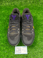 Kobe 11 “Carpe Diem” (Size 12)
