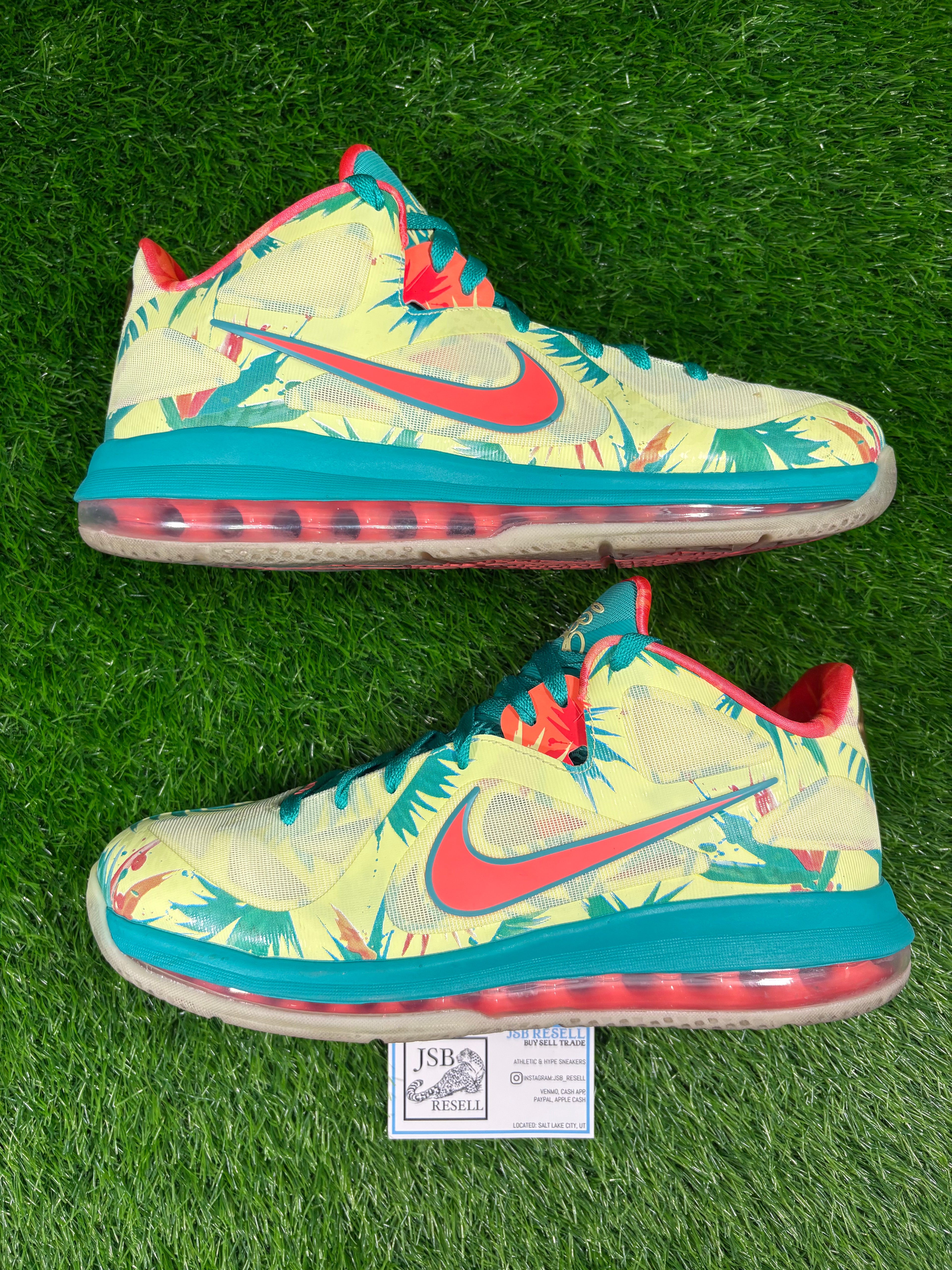 LeBron 9 Low “Lebronald Palmer” (Size 11.5)