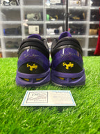 Size 9.5 - Kobe 7 SS “Poison Dart Frog”