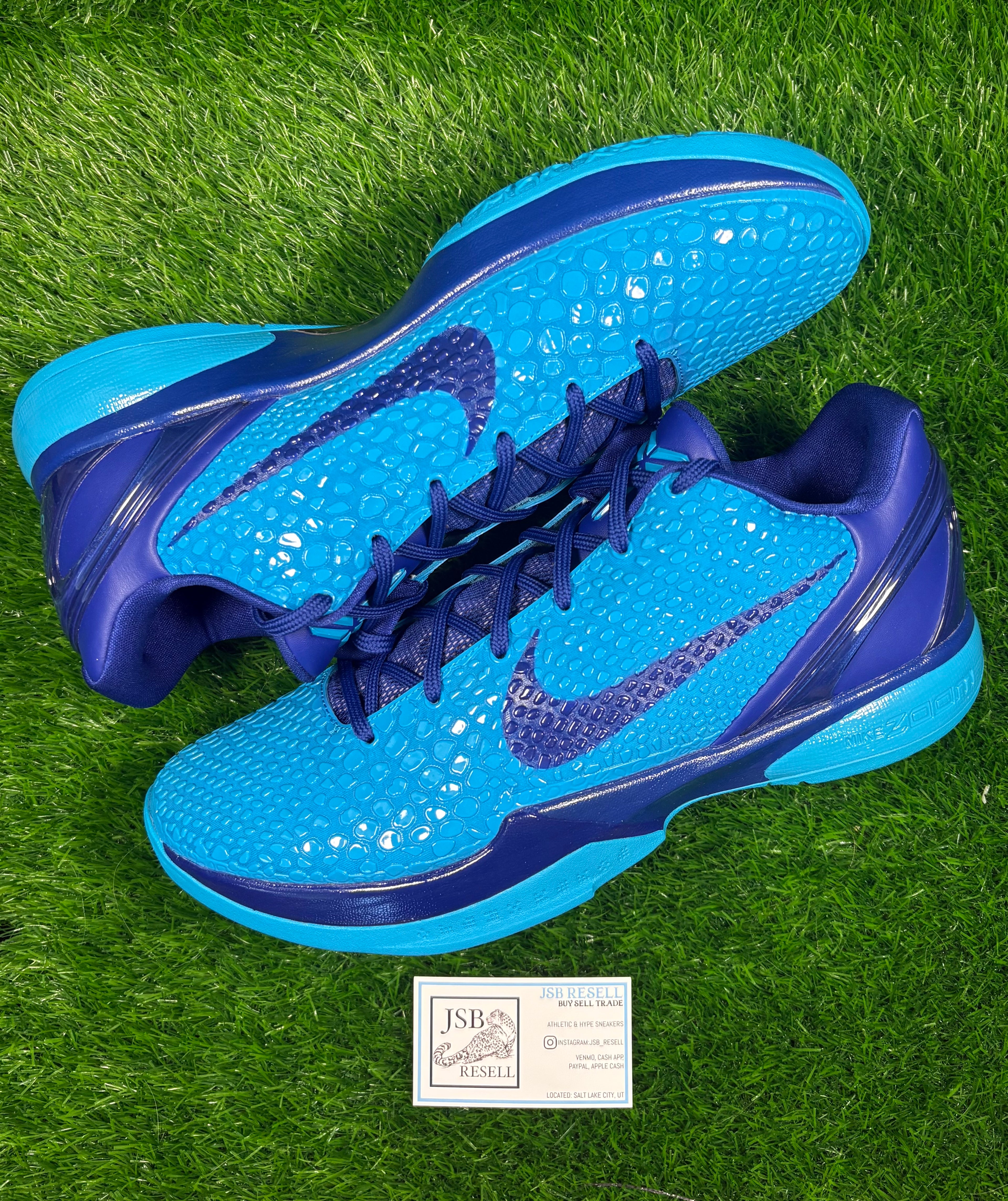 Kobe 6 Protro “Malik Monk”