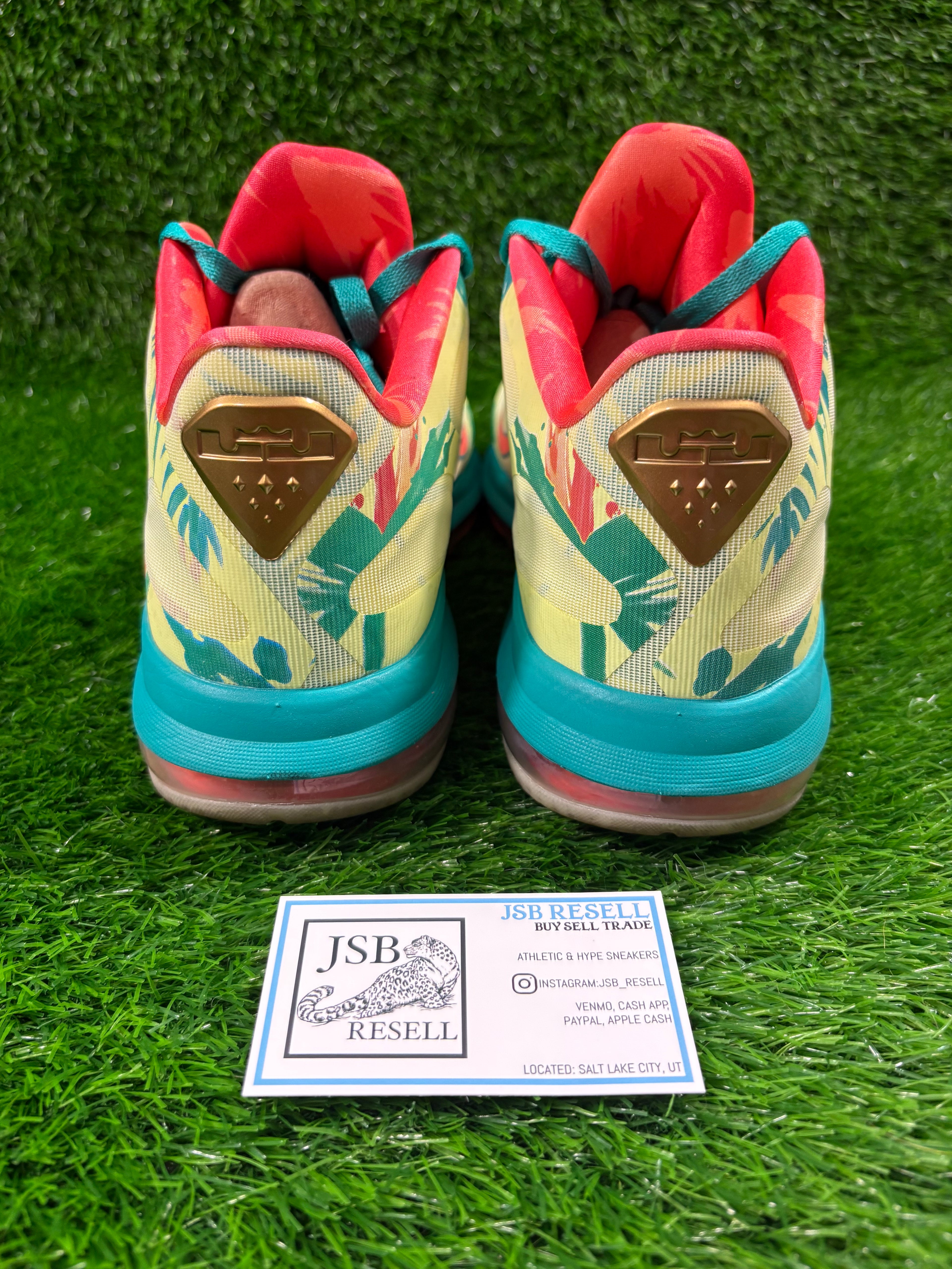 LeBron 9 Low “Lebronald Palmer” (Size 11.5)