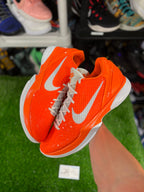 Size 14 - Kobe 6 Protro DeMar DeRozan PE “WNBA” PROMO