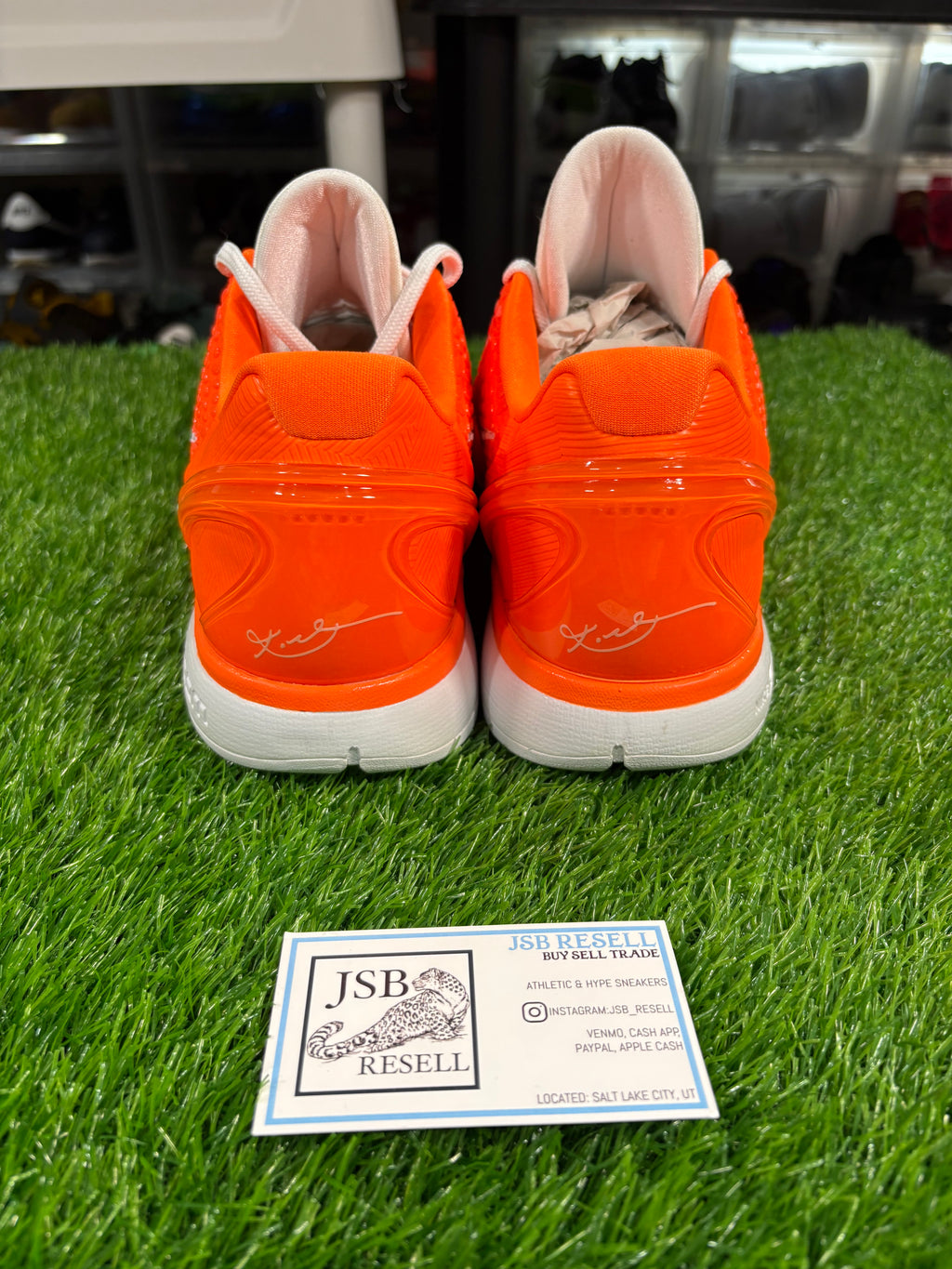Size 14 - Kobe 6 Protro DeMar DeRozan PE “WNBA” PROMO