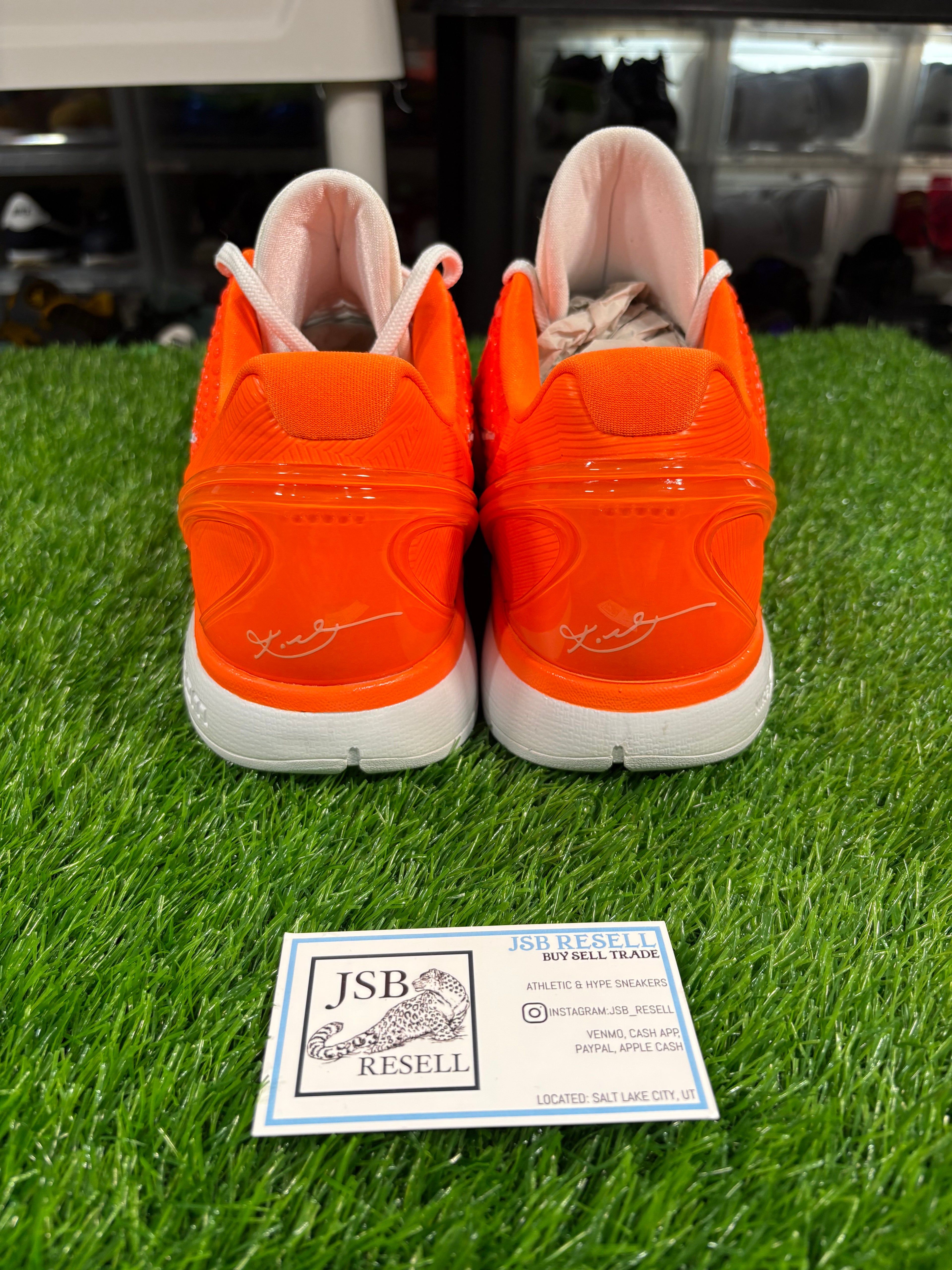 Size 14 - Kobe 6 Protro DeMar DeRozan PE “WNBA” PROMO