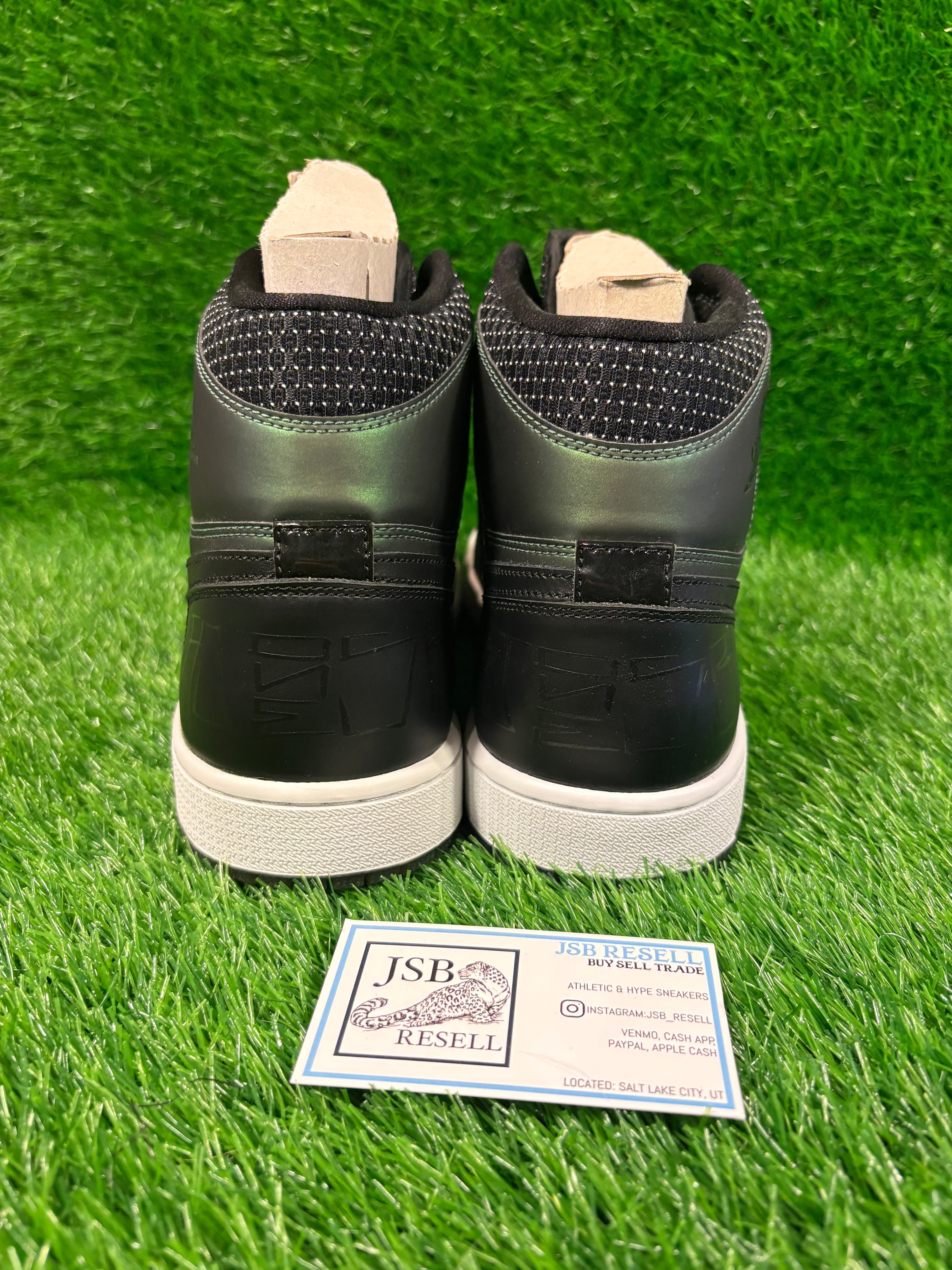 Size 12 - Jordan 1 SB x Craigh Stecyk 2014