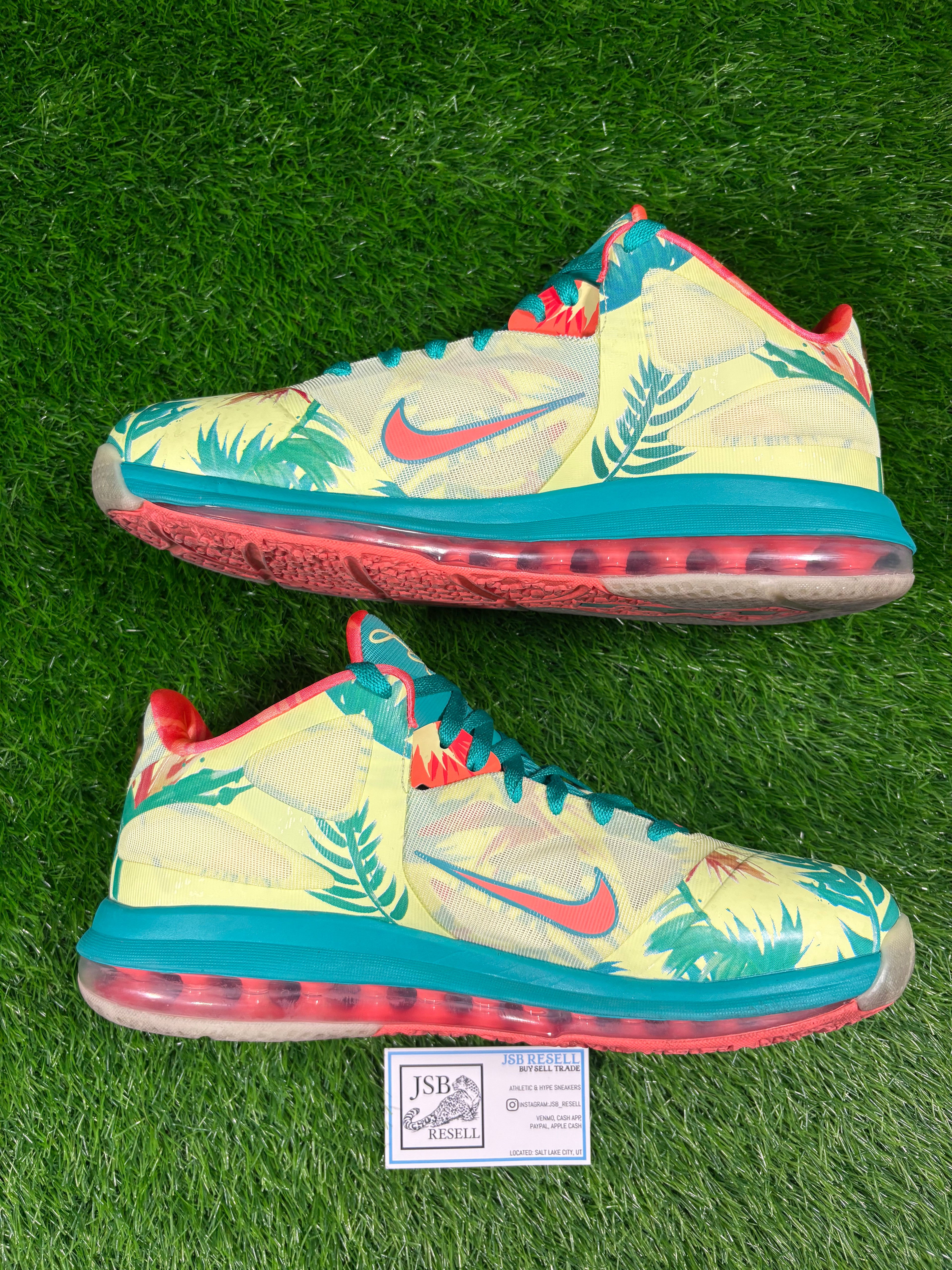 LeBron 9 Low “Lebronald Palmer” (Size 11.5)