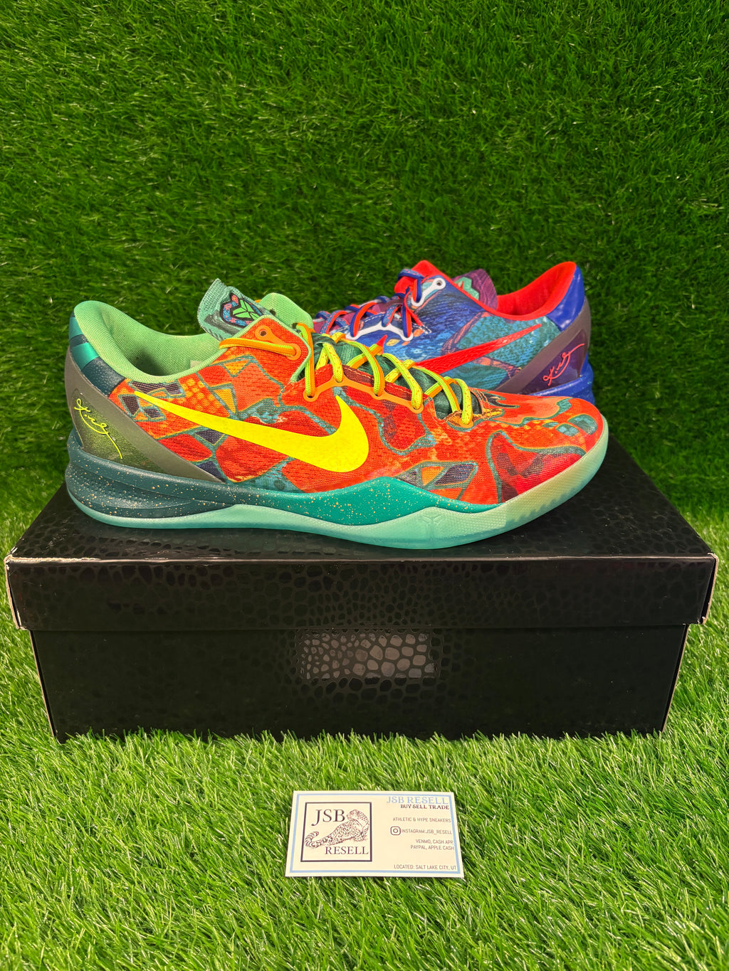 Kobe 8 Protro “What The” (Size 13)