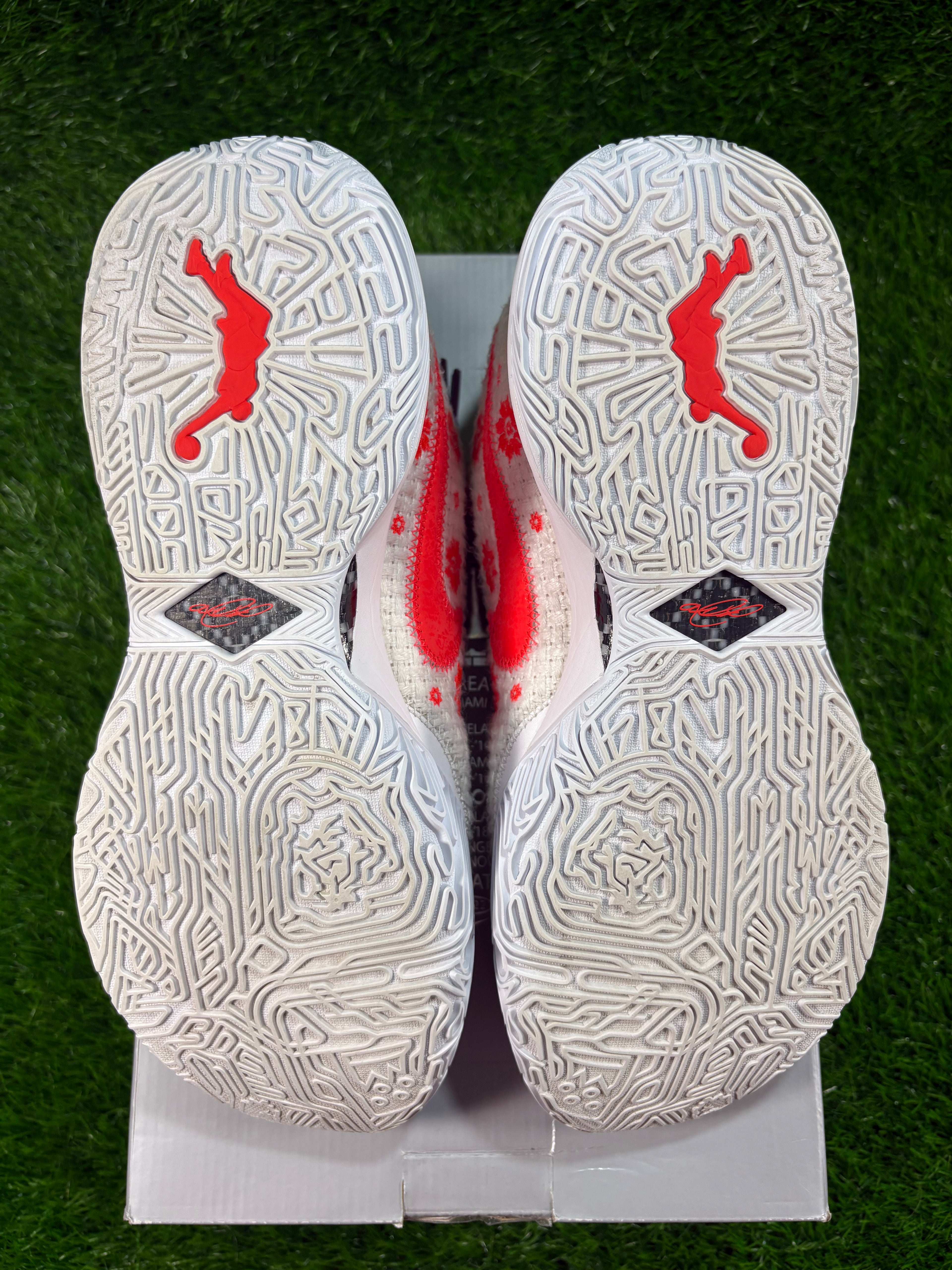 LeBron 20 PRM “Ceremony”