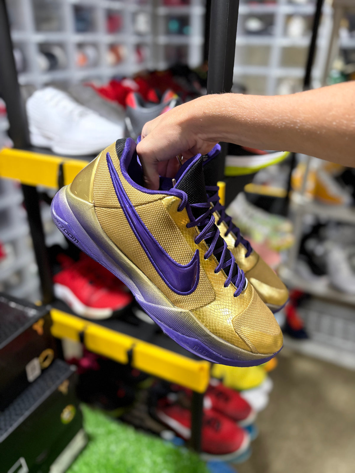 Size 13 - Kobe 5 Protro “Undefeated Hall of Fame”
