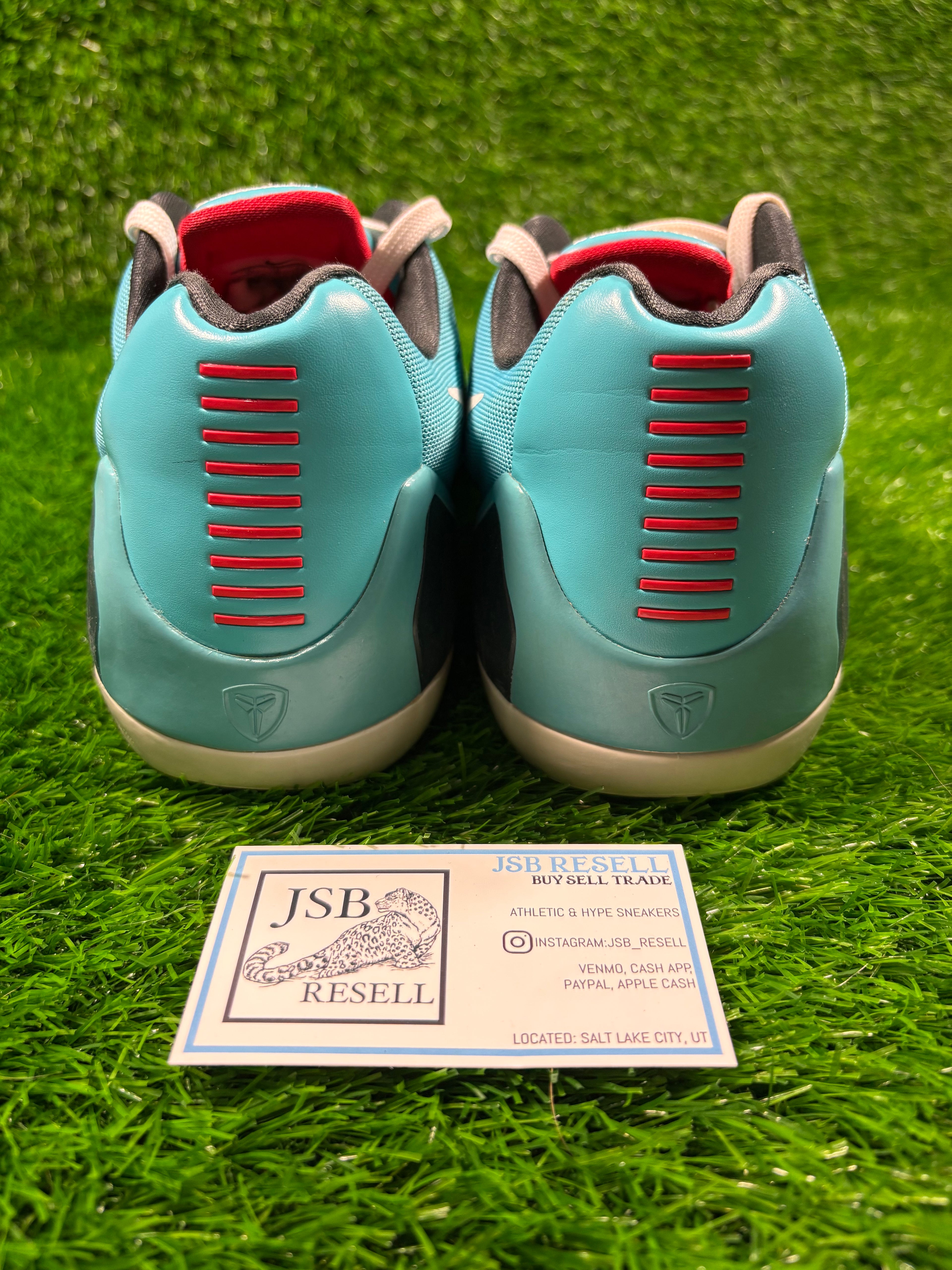Kobe 9 EM “Dusty Cactus” (Size 11)