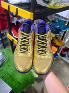 Size 15 - Kobe 5 Protro “Undefeated Hall of Fame”