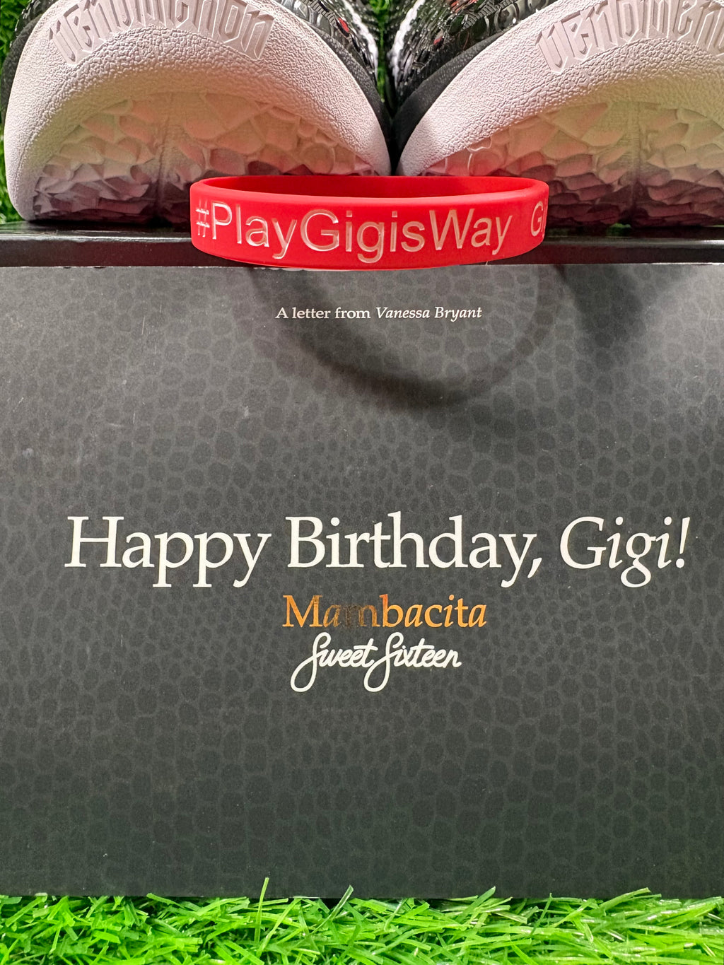 Kobe 6 Friends & Family “Mambacita Sweet 16” (Size 12)