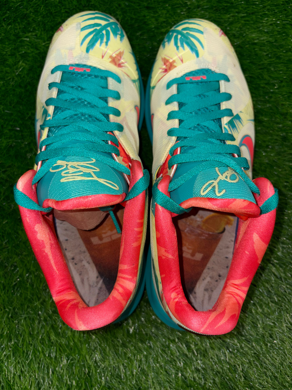 LeBron 9 Low “Lebronald Palmer” (Size 11.5)