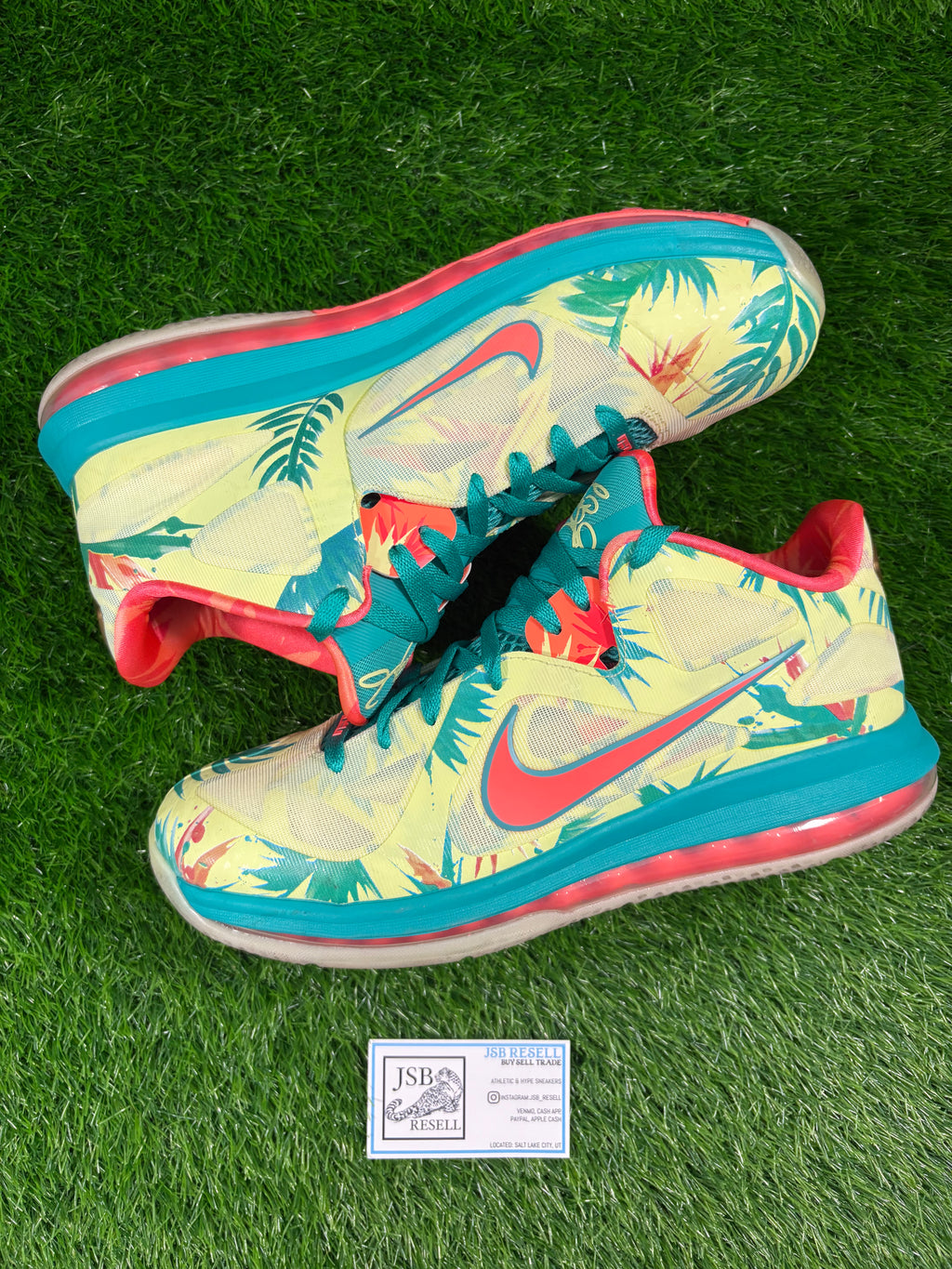 LeBron 9 Low “Lebronald Palmer” (Size 11.5)