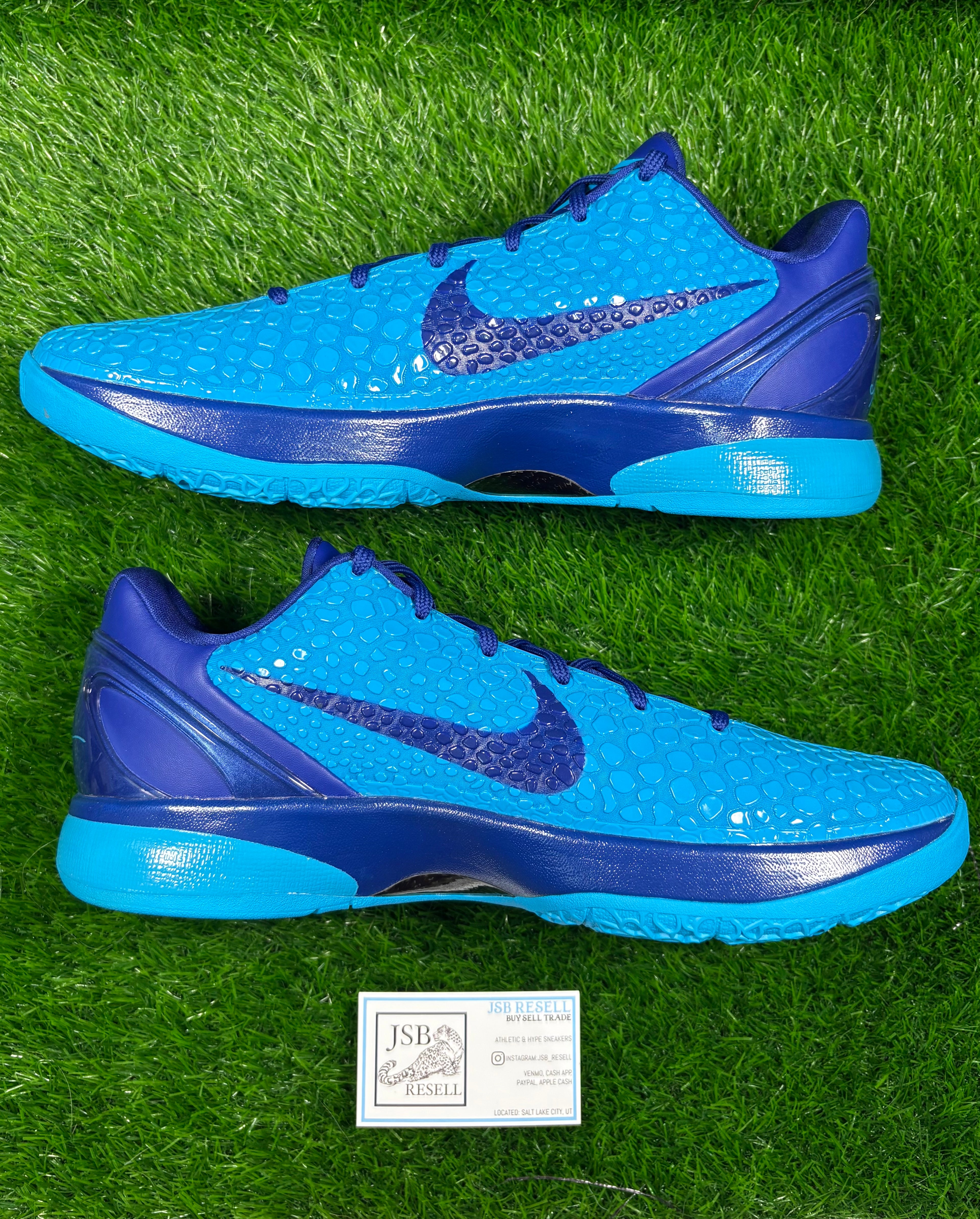 Kobe 6 Protro “Malik Monk”