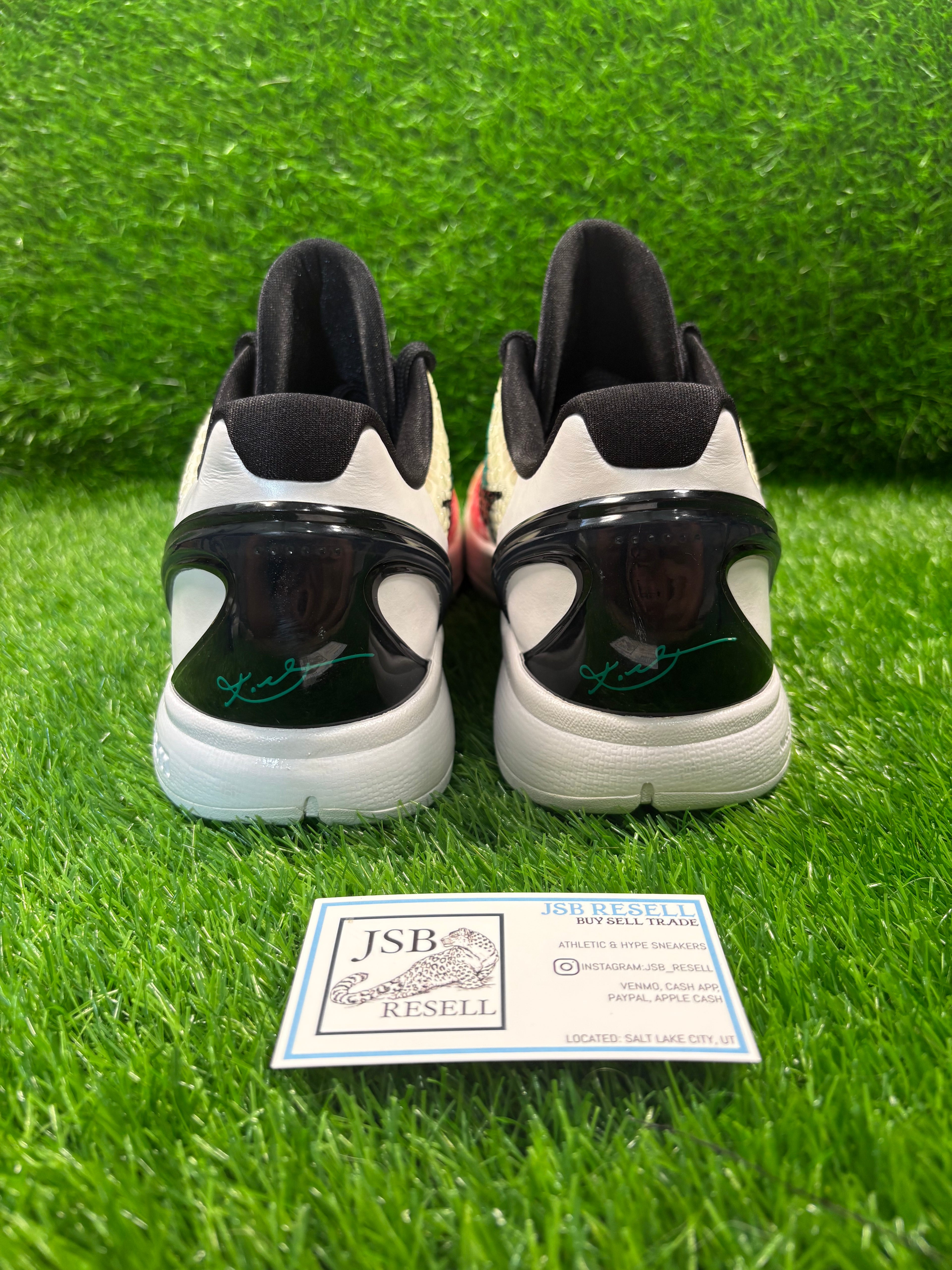 Kobe 6 Protro “DeMar DeRozan”