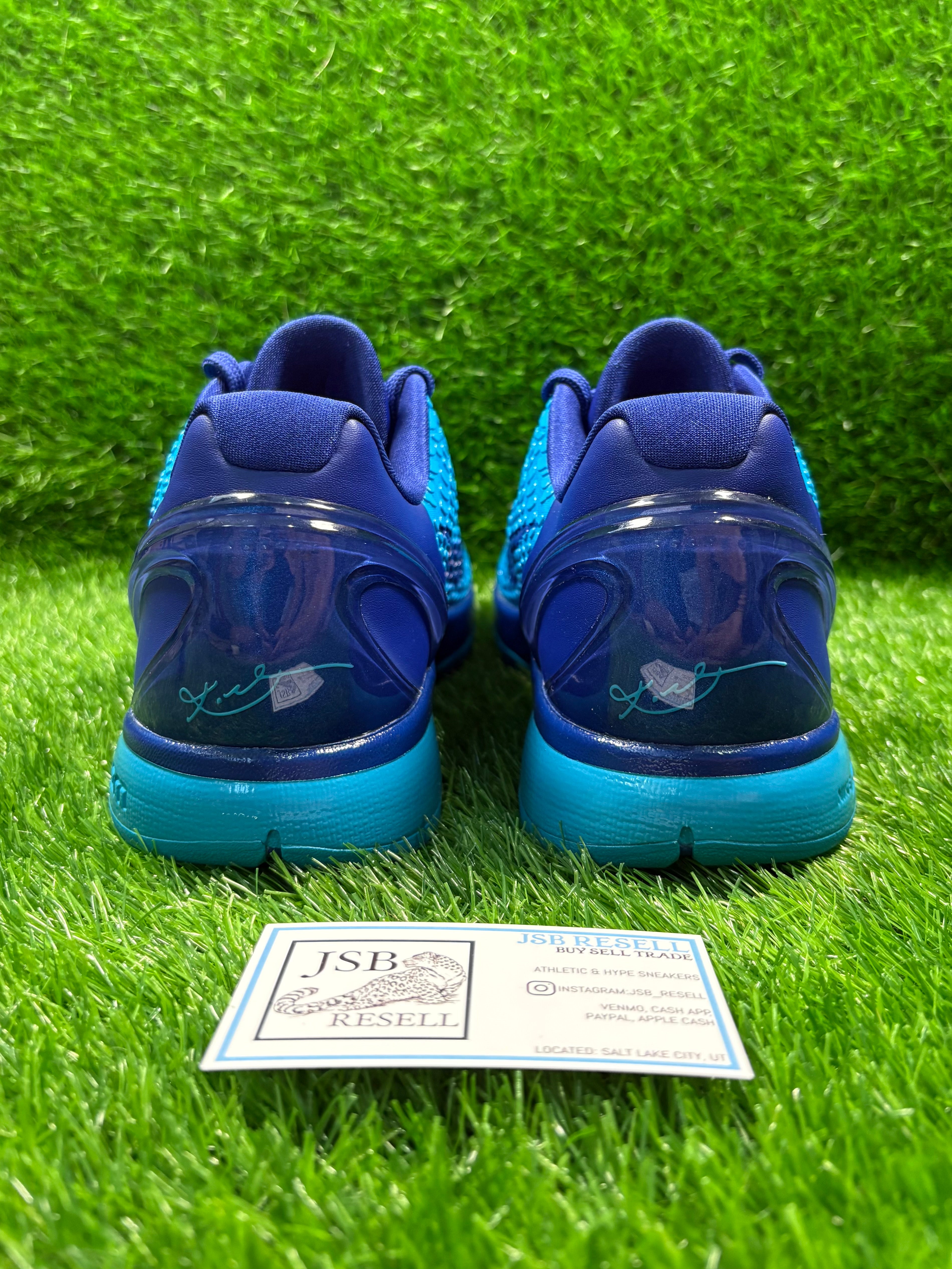 Kobe 6 Protro “Malik Monk”