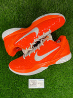 Size 14 - Kobe 6 Protro DeMar DeRozan PE “WNBA” PROMO