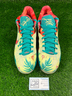 LeBron 9 Low “Lebronald Palmer” (Size 11.5)