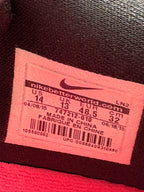 Kobe 10 “mambacurial” (Size 14)