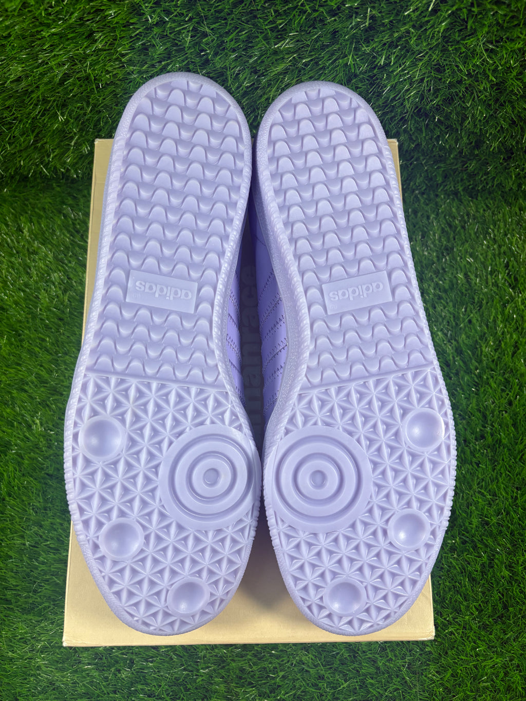 Adidas Pharrell Samba “Purple”