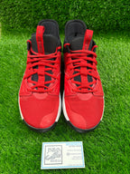 PG 3 “University Red”