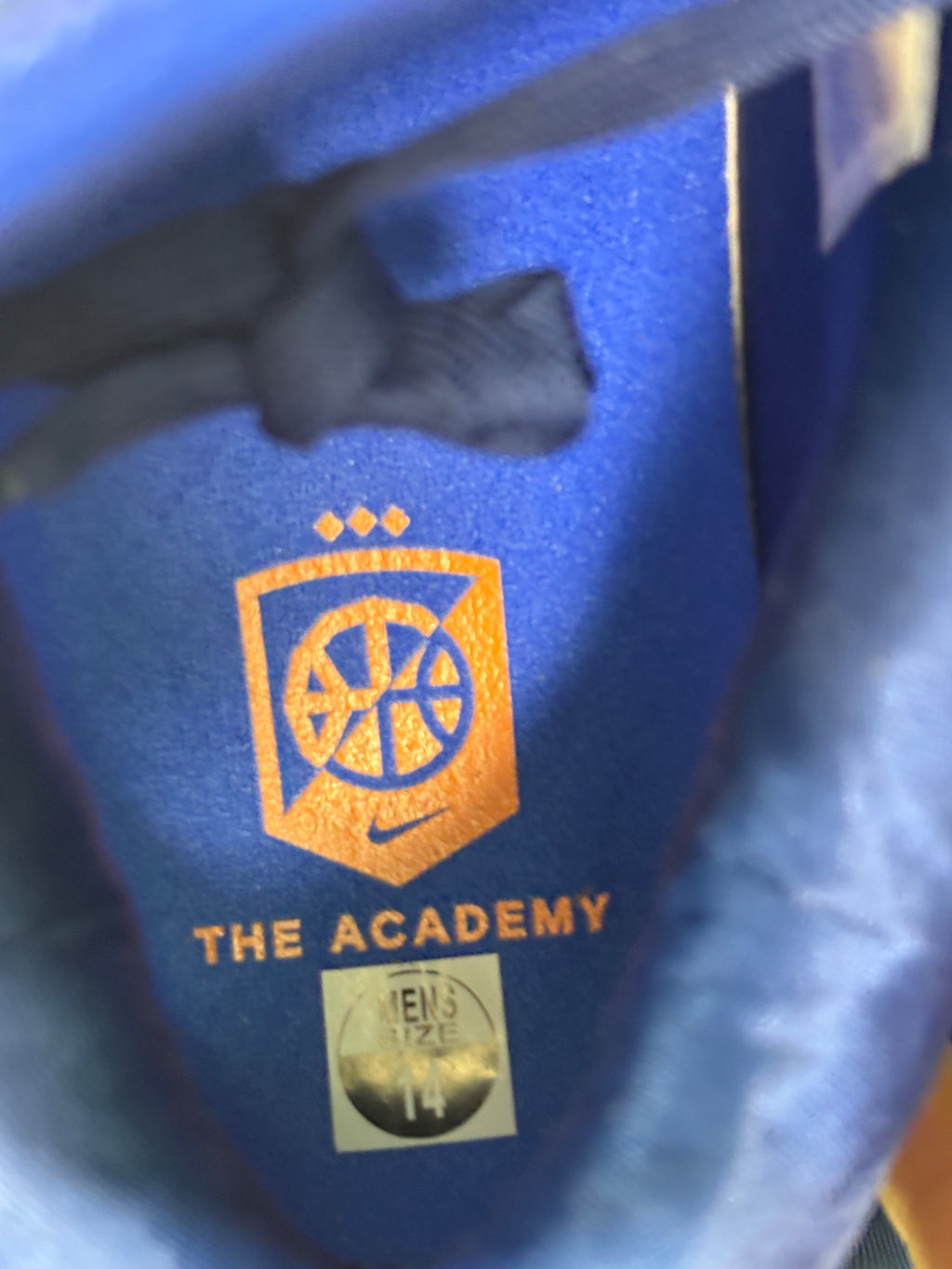 LeBron 22 “EYBL ACADEMY” PE