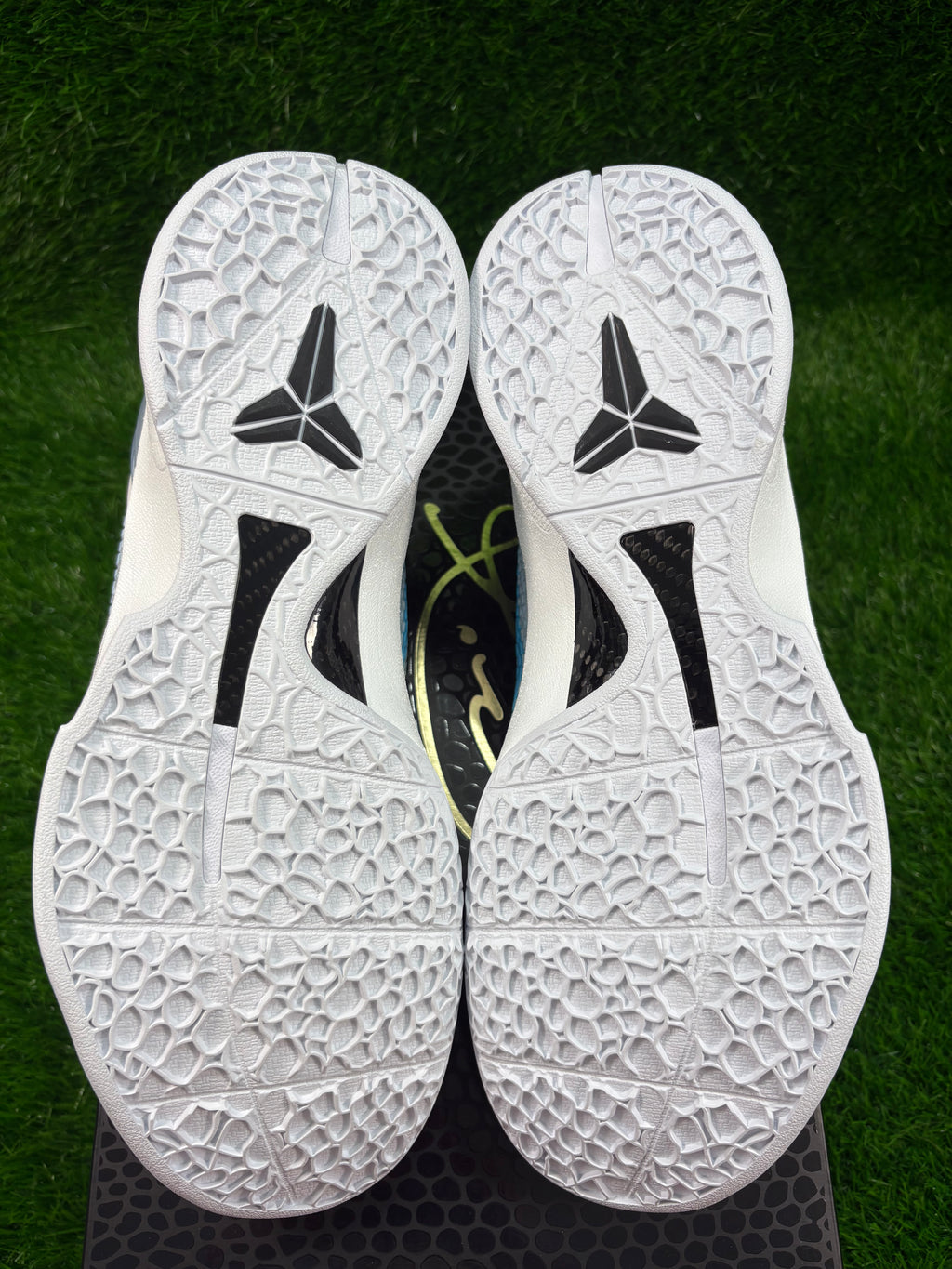 Kobe 6 Protro “Caitlyn Clark” (Size 12)