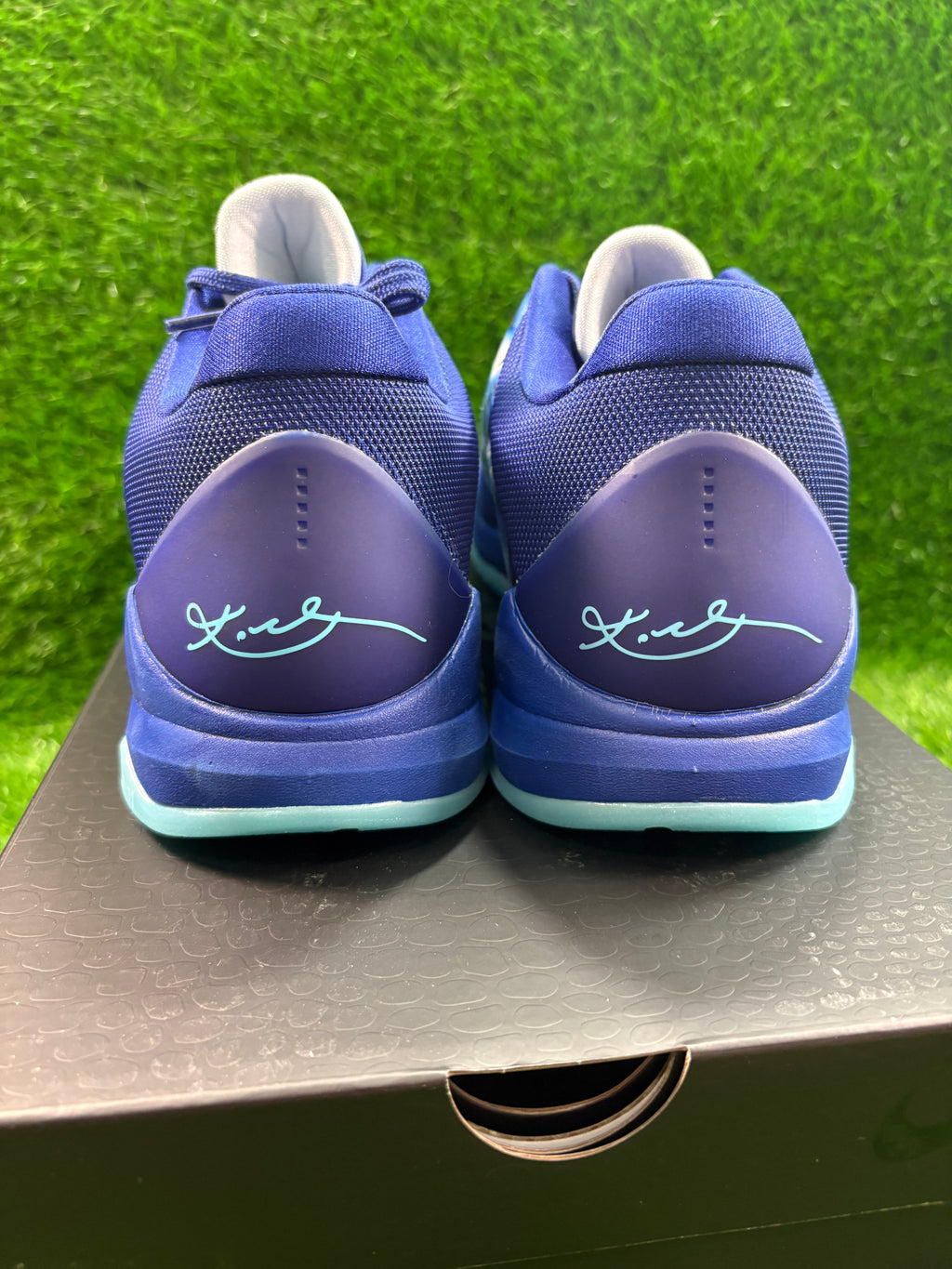 Kobe 5 Protro “X-Ray” (Size 12)